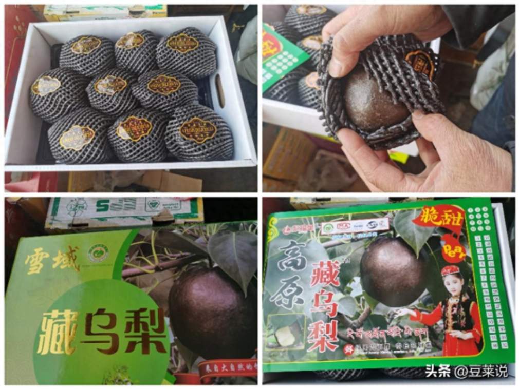 Luxury Fruit Scam: The Truth Behind "Black Pears" and Other High-Priced Fruits
