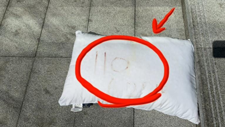 Deliveryman Spots Bloody Pillow, Calls Police and Rescues Trapped Woman