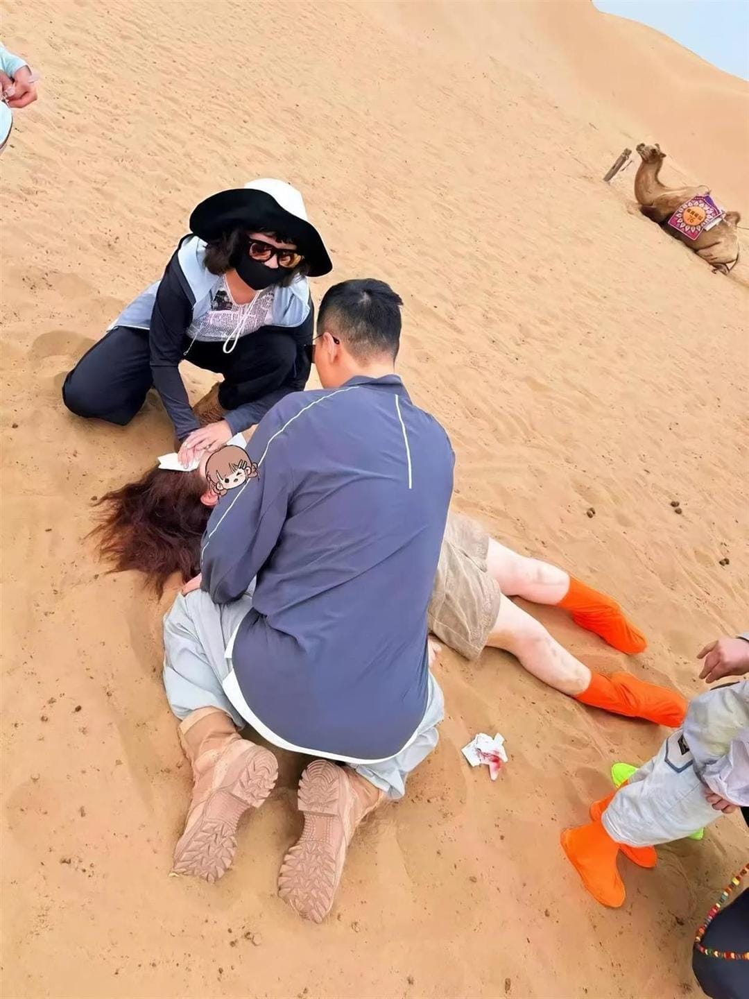Camel Attack Injures Tourist; Military Doctors Provide Aid 🐪