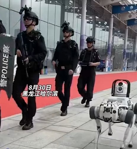 Robot Dog Joins Harbin Police Patrol 🐕➡️🤖