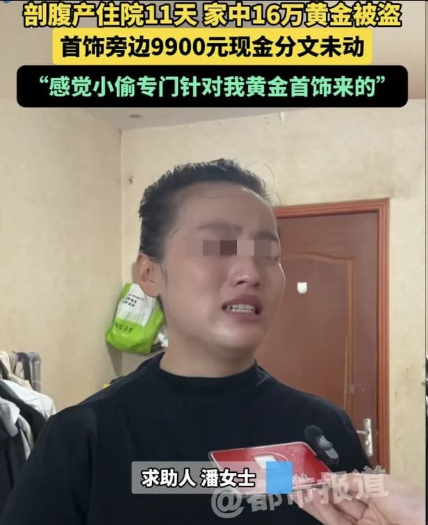 Gold Theft from New Mother in Henan: A Disturbing Case