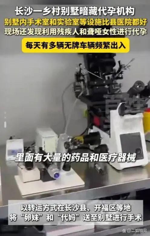 Henan Reporter Goes Undercover in Surrogacy Den—What Dark Secrets Lie Beneath?