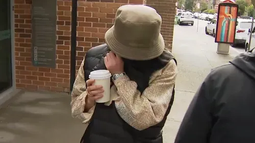 From Crash to Controversy: The Enigmatic Life of Yang Lanlan