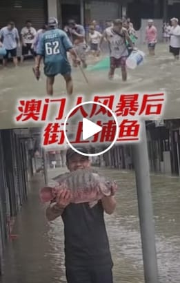 Super Typhoon Huajiasa: Fish Flood the Streets of Macau! 🐠