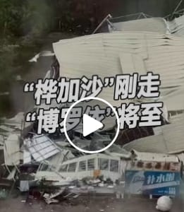 The Impact of Typhoons Huajiasa and Bualoi on China and the South China Sea