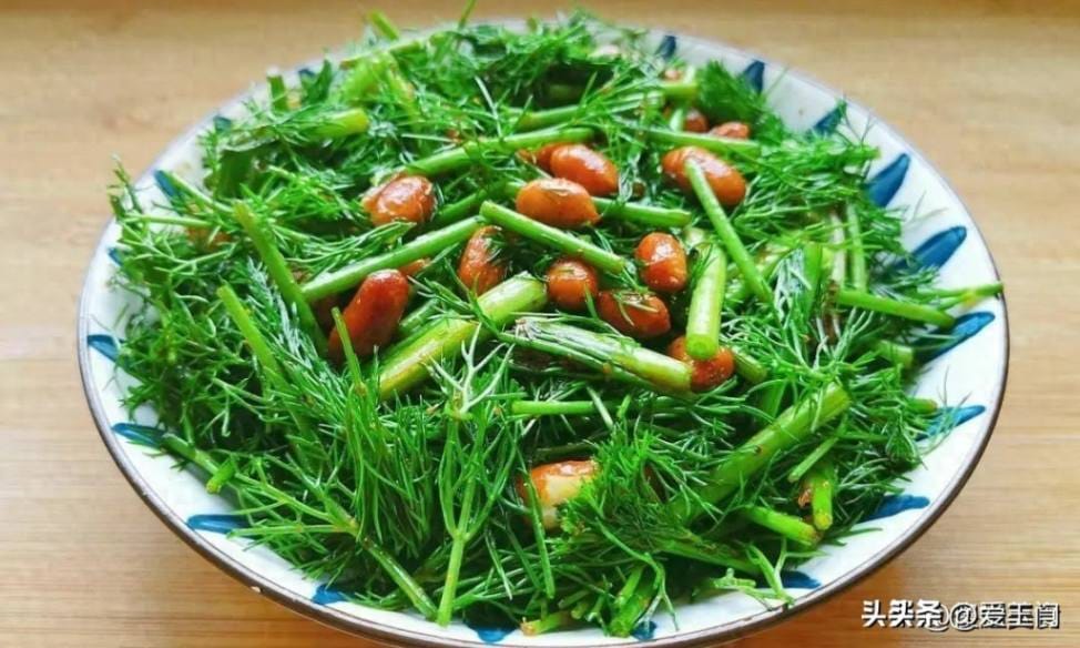 Why Fennel is a Treasure: Hidden Autumn Health Benefits for Women