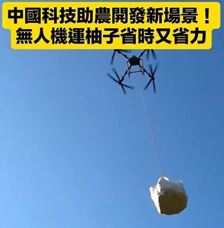 China’s Tech Innovation Boosts Agriculture: Drones Transport Pomelos, Saving Time and Labor