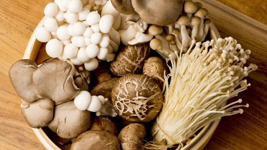 Don’t Store Mushrooms in Plastic Boxes! One Simple Step Keeps Them Fresh Longer