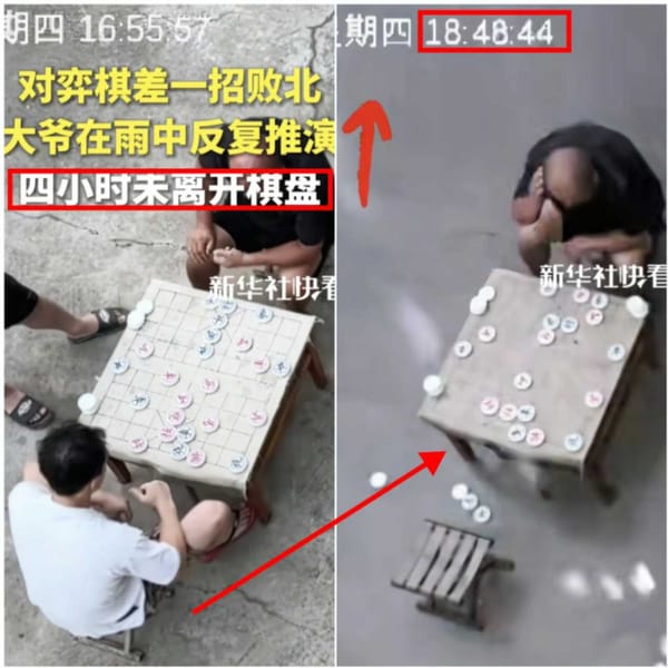 Chess Obsession: Man, Studies Lost Game for 4 Hours in Pouring Rain