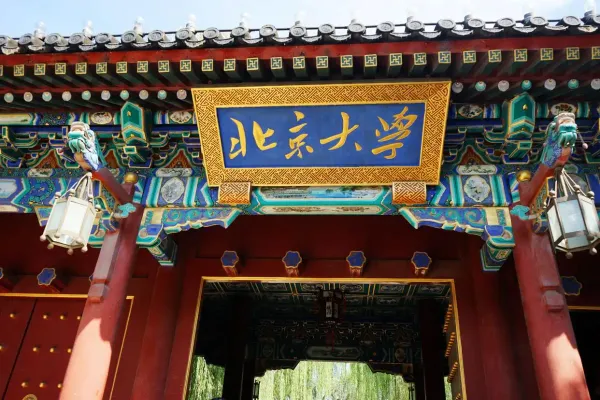 Peking University Professor Admission Violation Allegations and University Response