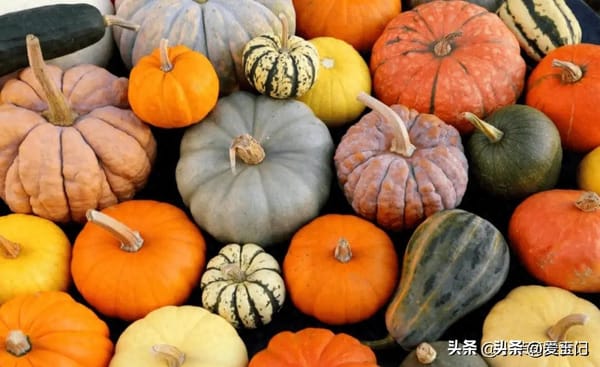 Pumpkin Season Warning: Doctors Advise Three Groups to Limit Intake
