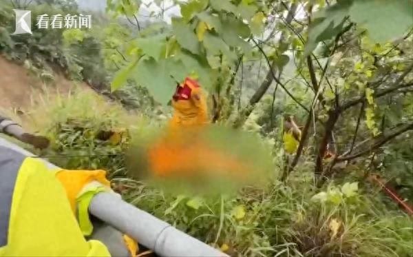 Family Falls into Ravine, Dad Lost While Rescuing