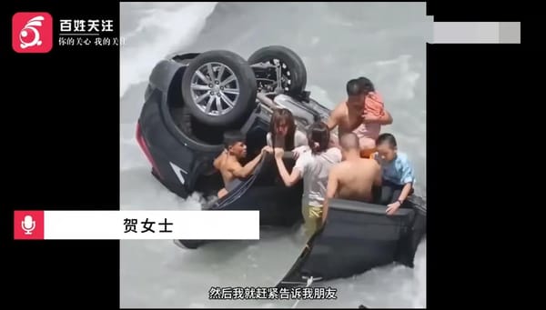 Heroic Tourists Save Five After Car Falls into River—One Girl Still Missing