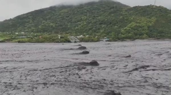 Hualien Landslide Lake Collapse: Typhoon “Huajiasa” Floods Town, Bridge Destroyed, 14 Dead