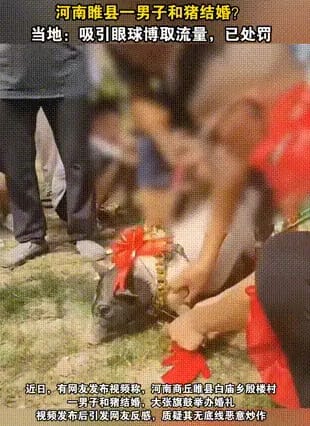 Henan Man's Marriage to a Pig Sparks Outrage and Official Response