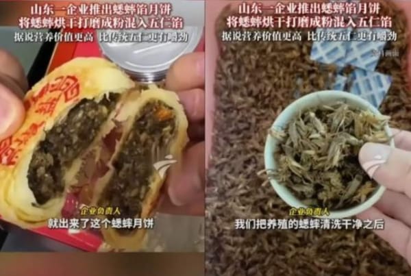 “Cricket Mooncakes” Shock China: Bizarre Flavors Go Viral Amid Economic Downturns